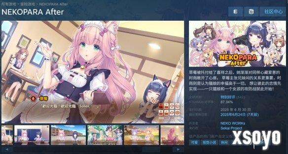 新手游网1