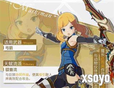 星痕共鸣神射手驭兽流怎么玩 神射手驭兽流玩法攻略