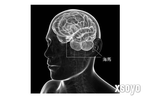 新手游网3