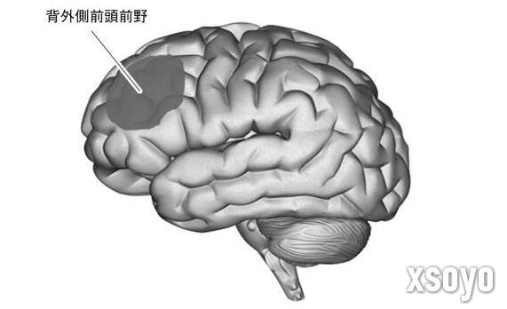 新手游网4