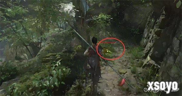 明末渊虚之羽蜀神庇护怎么获得 蜀神庇护获取方法