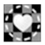 Stepok Recompositv5.1