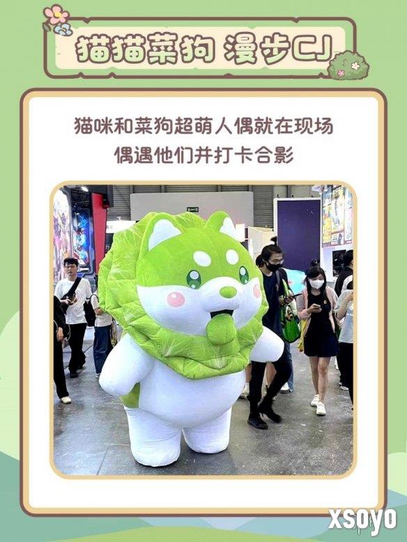 新手游网5