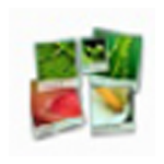 FotoWall _图像处理工具v0.9