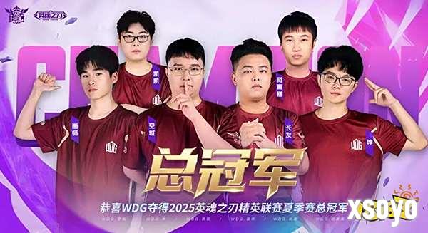 破界新生！WDG五局鏖战登顶HEL夏决，玩家热梗“三年级打英魂”引爆十年情怀
