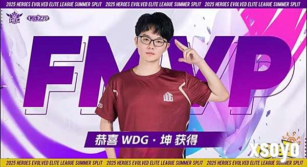 破界新生！WDG五局鏖战登顶HEL夏决，玩家热梗“三年级打英魂”引爆十年情怀
