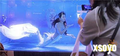 CJ 2025 已冲，索然无味 