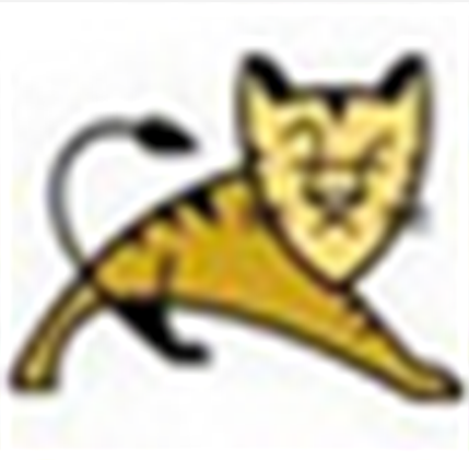 Apache Tomcatv6.0.45