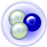 DC++0.882