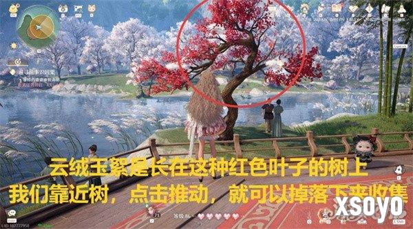 无限暖暖采集玉絮清洁白鹭任务怎么做 采集玉絮清洁白鹭任务流程攻略