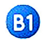 B1 Free Archiverv1.5.86