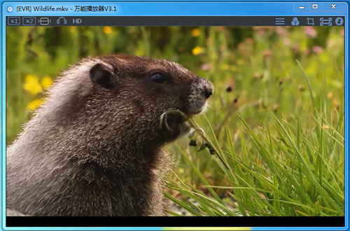 万能播放器wplayerV3.1.6