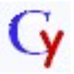 CYY网页提取助手 3.0