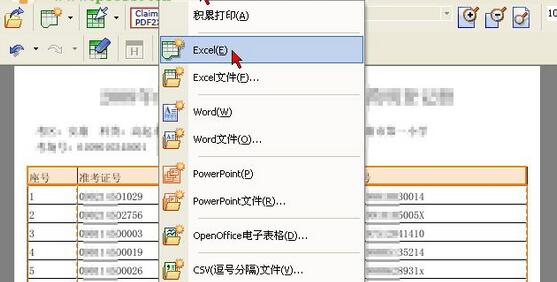 cogniview pdf2xlV4.1.2