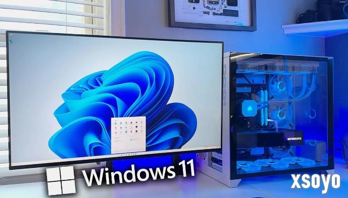 阿三程序员发力了！最新win11更新补丁报废多部硬盘