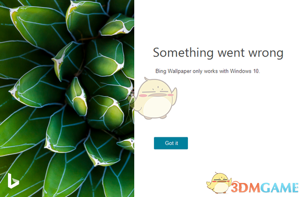bing wallpaper必应壁纸v1.0.9.6