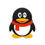 QQv9.6.6.28796