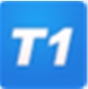 T1飞跃服装版V12.0.1.7