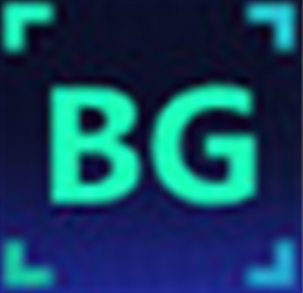 Borderless Gaming免费版