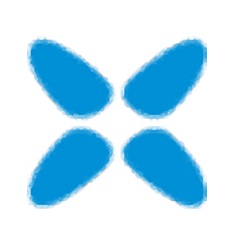 xvid video codec1.4
