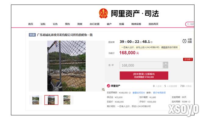 阿里拍卖居然上架活鳄鱼需自行抓捕 网友不太敢拍