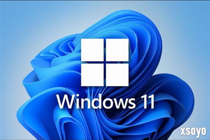 Win11更新爆发大规模SSD故障：多品牌中招 别传大文件