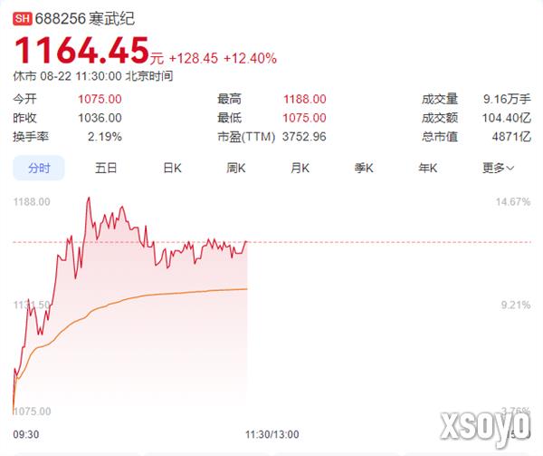 寒武纪成AI芯片“新一哥”！市值一度逼近5000亿超中芯国际