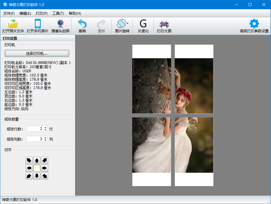 神奇大图打印软件1.0.0.233