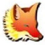 foxtable20.05.30