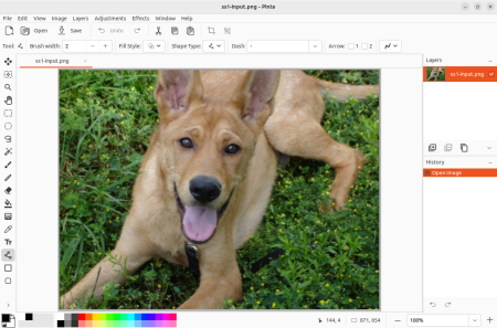 Pinta 2.1.1