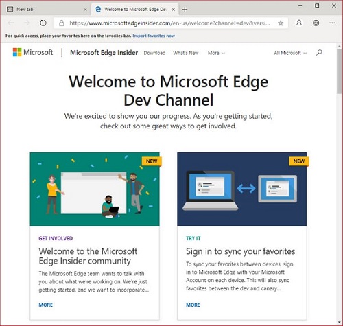 Microsoft Edge DevV84.0.522.5