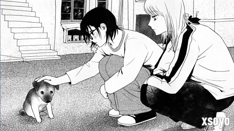 游戏七日薄：《波斯王子：Rouge》《海之剑》领衔