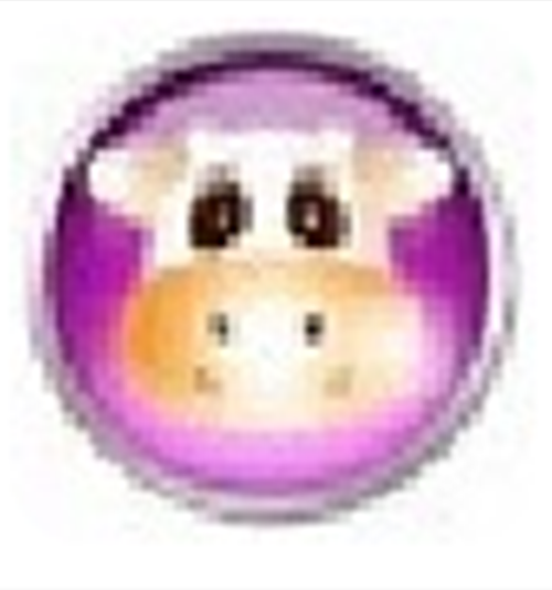 可牛影像官方版v2.7.2.2001