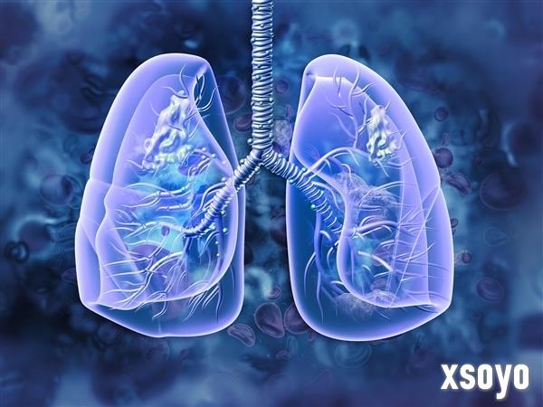 世界首例！中国团队将基因编辑猪肺成功移植人体