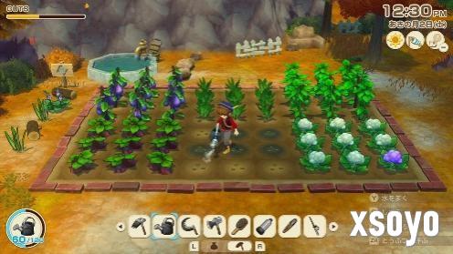 《牧场物语 来吧！风之繁华集市》公布Steam国区售价与发售时间