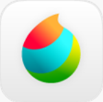 MediBangPaintPro25.2