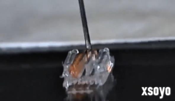 3D打印或能让瘫痪者恢复行走 已在动物身上验证