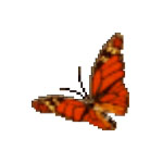 雨阳打字通1.0
