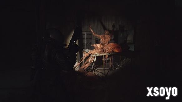 新手游网3