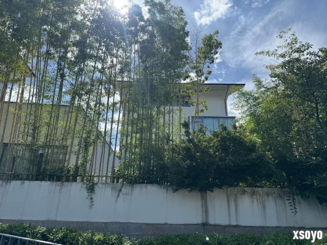 非必要不会面 韩媒曾欲拜访《黑神话》工作室被婉拒