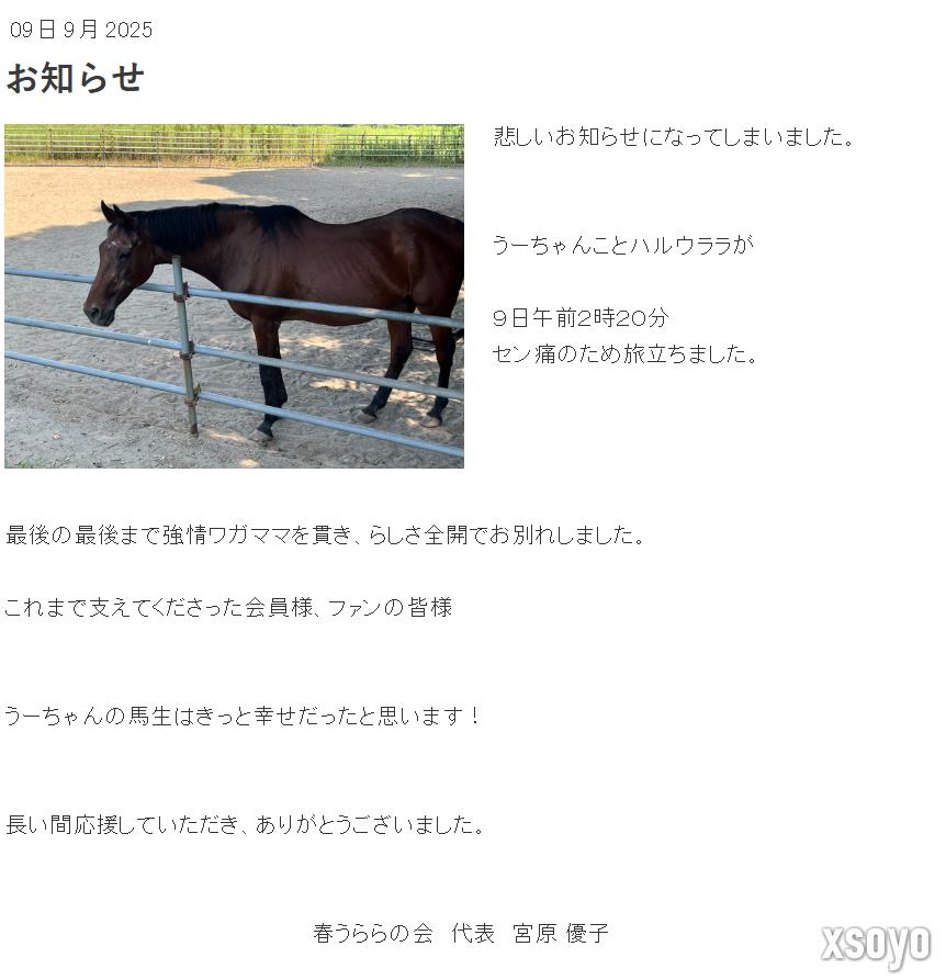 RIP！ 春乌拉拉最后一篇日记记载了对粉丝的感谢
