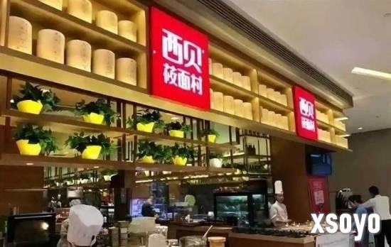 罗永浩、西贝口水战 大家在意的不是预制菜是价格贵