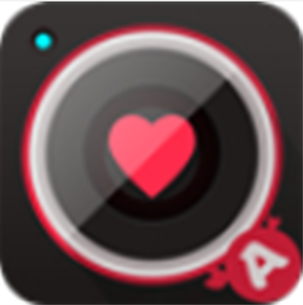 艺术大师2004贴纸相v1.0