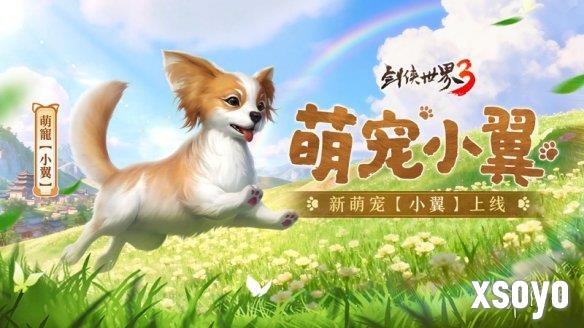 新手游网4