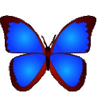 bkViewer32位6.1.1.0