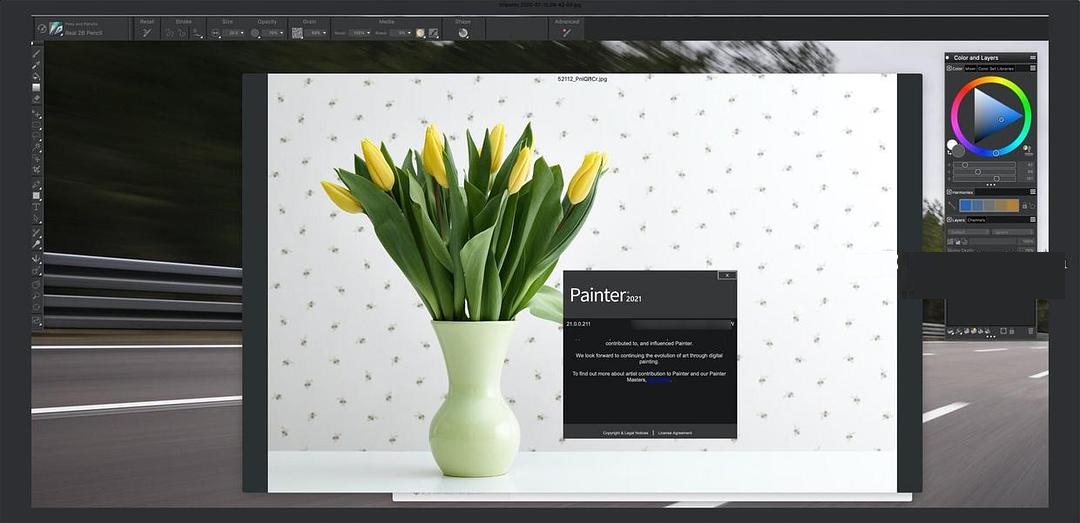 Corel Painter2021最新版v2021