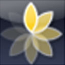 Express Animate32位9.46