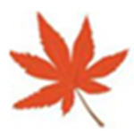 枫叶3GP手机视频转换器v14.1.0.0