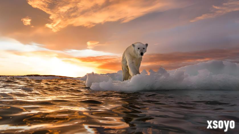 网吧安装数十台空调外机 老板被投诉影响全球变暖