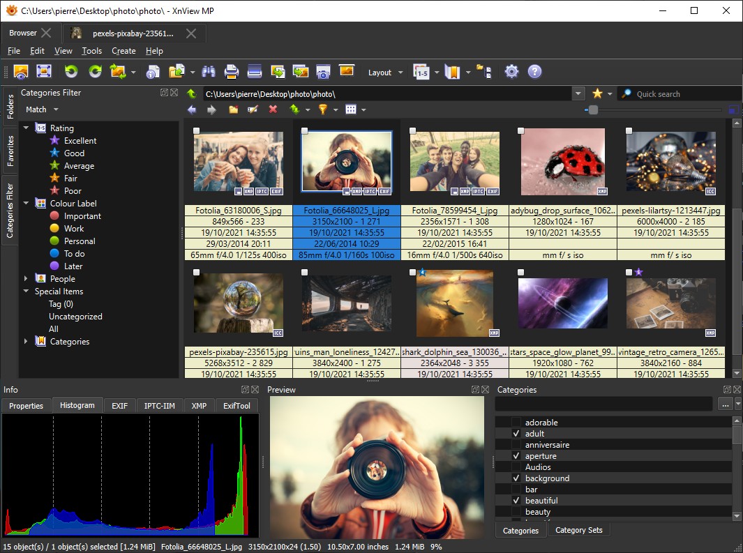 XnViewMP-1.2.6.0-32位